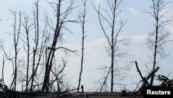 ARCHIVO - Un residente pasa junto a árboles de mangle muertos en la pequeña comunidad de La Tirana, a unos 110 kilómetros (68 millas) de San Salvador, El Salvador, el 3 de agosto de 2012.
