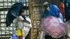 More Hunger, Crime Forecast for Rohingya Refugees in Bangladesh as Food Rations Dwindle
