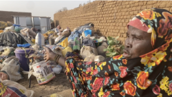 Tabale - Mɔgɔ minnu n’olu bɛ boli ka bɔ Burkina jamana na, olu sera Koro dugu Mali cɛmancɛ la.
