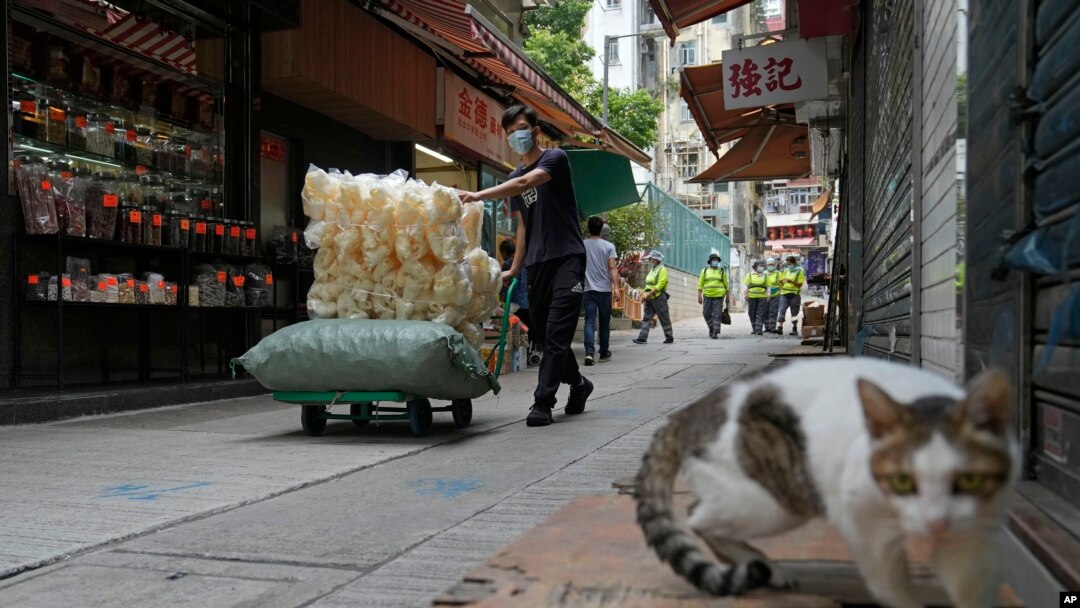 2022年3月22日，在香港的一個戶外市場，一名戴著口罩的工人在運送乾魚肚。（美聯社）