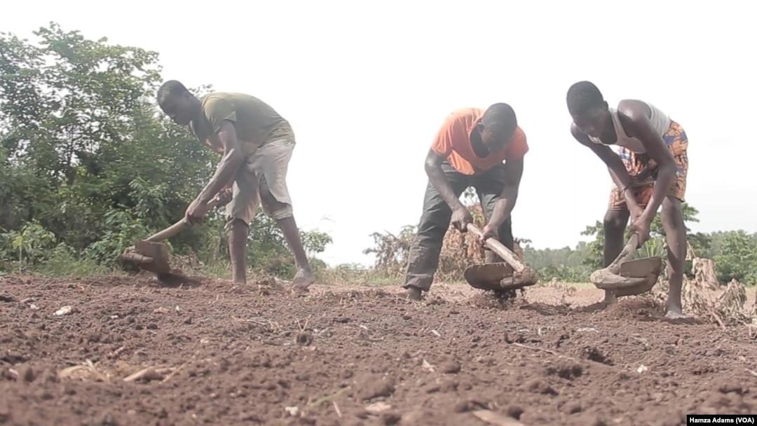 Akalla Mutane 3.6M Na Iya Fuskantar Matsalar Karancin Abinci A Ghana