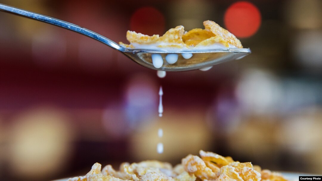 Researchers say that hearing the sounds made while eating may cause people to eat less.(BYU)