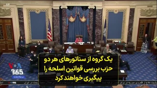 یک گروه از سناتورهای هر دو حزب بررسی قوانین اسلحه را پیگیری خواهند کرد