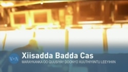 Qubanaha VOA