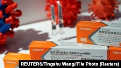 北京舉行的中國國際服務貿易交易會科興公司展台上擺放的新冠疫苗。（2020年9月4日）