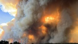 Continúan hostilidades en Gaza, mientras en Washington altos funcionarios de la Casa Blanca se reúnen con asesores del ejecutivo israelí.