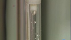DNA Can Point The Way Toward Curing or Controlling Cancer
