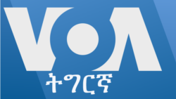 ፈነወ ድምጺ ኣመሪካ ቋንቋ ትግርኛ 29 የካቲት 2024