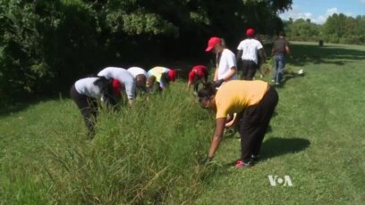 Urban Forest Grows in Small US Town