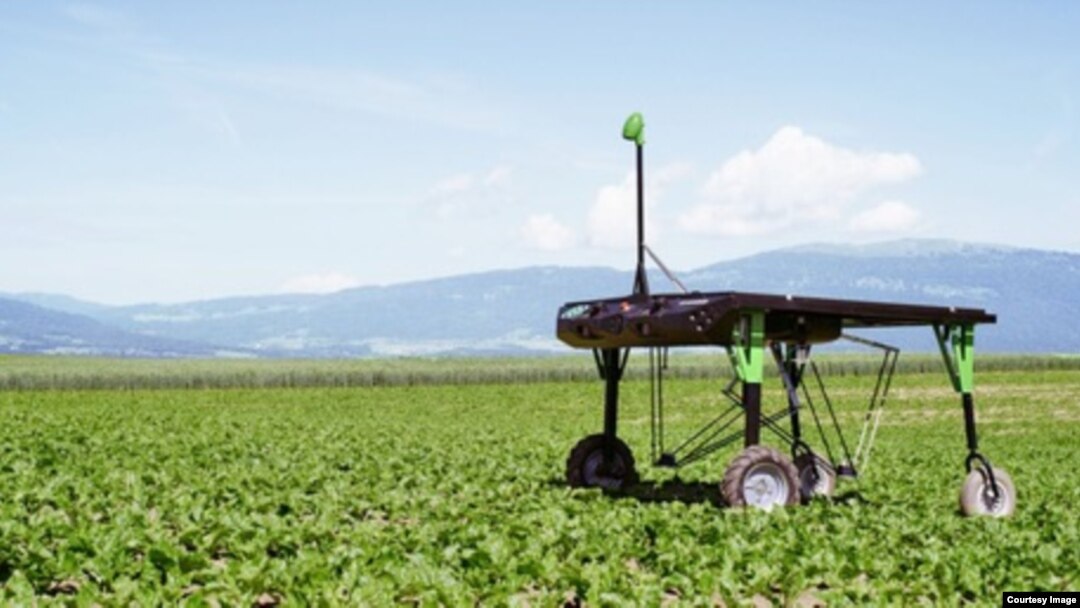 In this file photo, ecoRobotix demonstrates its 'smart farm' technology, which uses artificial intelligence to identify weeds and kill them. (ecoRobotix) 