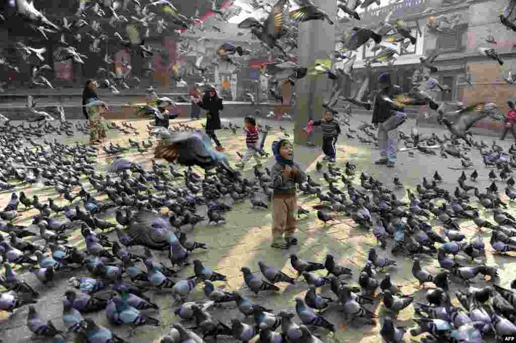 Nepalese children feed pigeons in Durbar Square in Kathmandu.