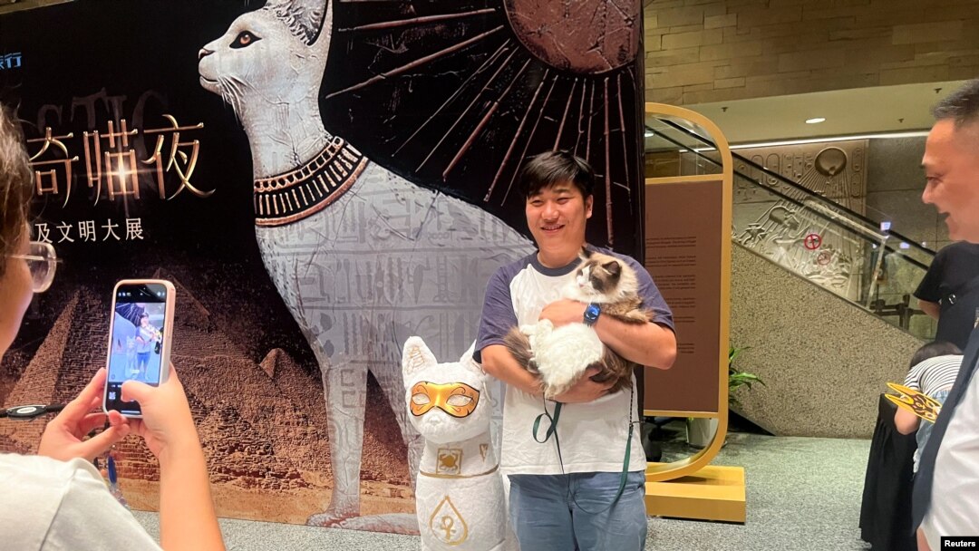 แมวถ่ายภาพกับเจ้าของที่ทางเข้างาน Shanghai Museum's "Meow Night" ที่นครเซี่ยงไฮ้ จีน 31 ส.ค. 2024 (REUTERS/Casey Hall)