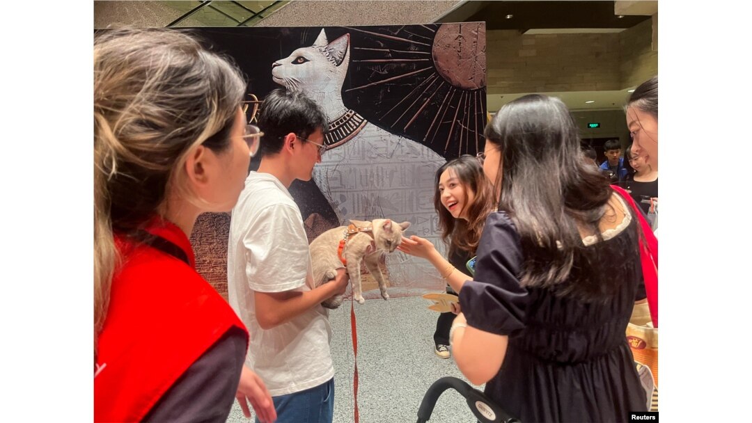 แมวกับเจ้าของที่ทางเข้างาน Shanghai Museum's "Meow Night" ที่นครเซี่ยงไฮ้ จีน 31 ส.ค. 2024 (REUTERS/Casey Hall)