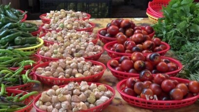 An Urban Oasis of Fresh Local Produce