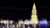 Huge Christmas Display Lights Up Washington's Baseball Stadium