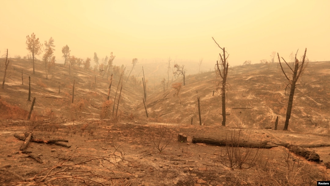 Colinas calcinadas al oeste de Redding, California, EE.UU. el 28 de julio de 2018, luego del paso del incendio Carr que ha dejado hasta ahora 5 víctimas, entre ellas una anciana y sus dos bisnietos. Más de 38.000 personas han sido evacuadas. REUTERS / Bob Strong -