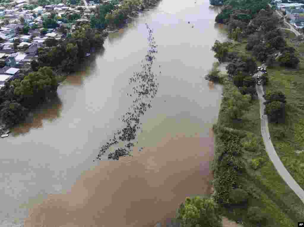 A new group of Central American migrants bound for the U.S border wade en masse across the Suchiate River, which connects Guatemala with Mexico, in Tecun Uman, Guatemala, Oct. 29, 2018.