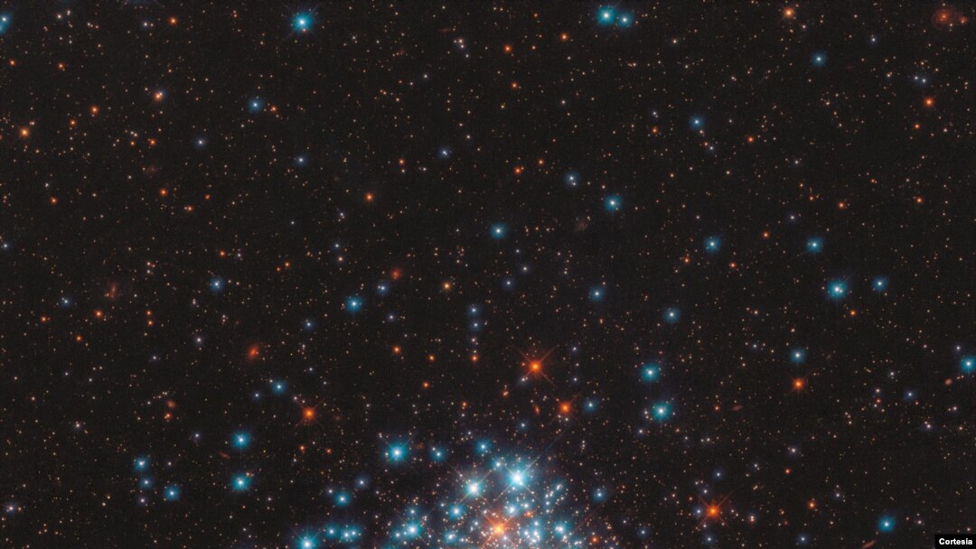 Esta apretada agrupación de miles de estrellas se encuentra cerca del borde de la Gran Nube de Magallanes, una galaxia satélite de nuestra propia Vía Láctea. [Imagen tomada por el Hubble de la NASA]. 