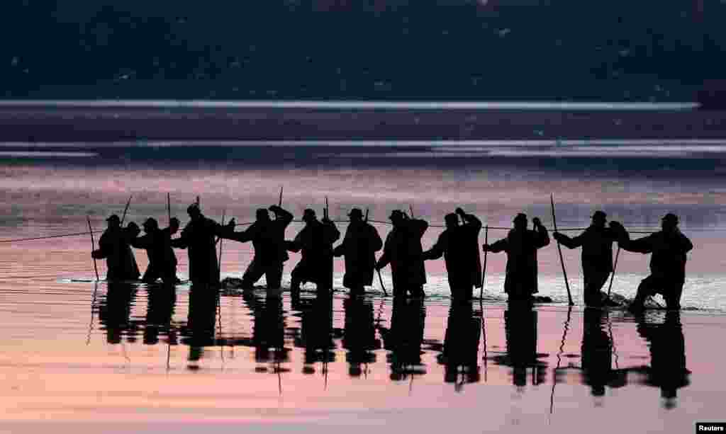 Fishermen pull a net from a pond during the traditional carp haul near the town of Trebon, Czech Republic.